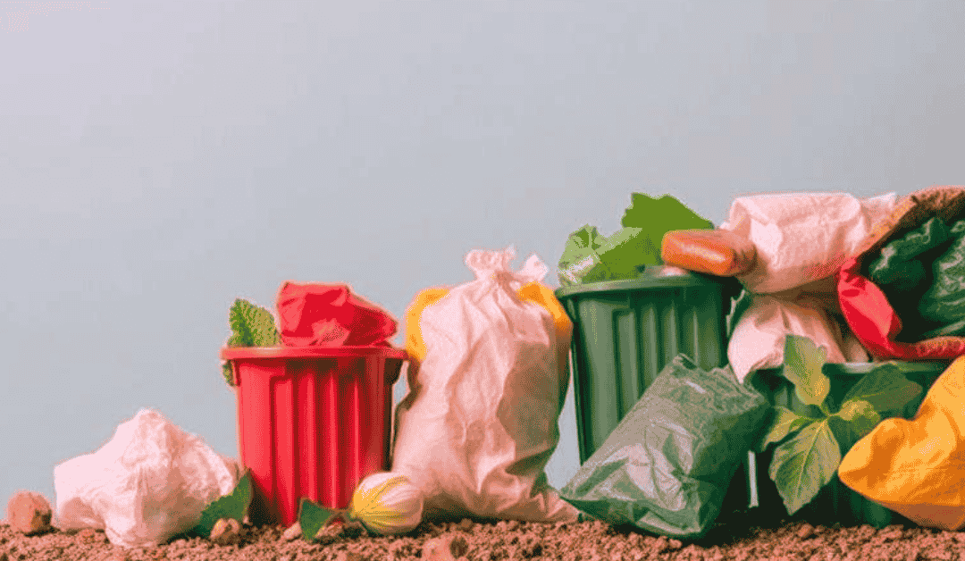 Why Waste Segregation Matters: The First Step in Sustainable Waste Management