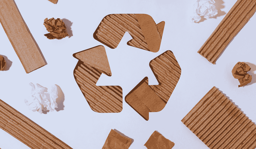 Packaging Waste Reduction: Strategies for a Sustainable Supply Chain