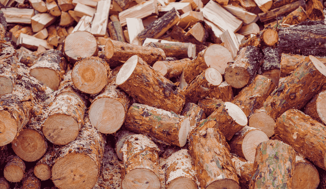 Wood Waste Management: From Waste to Value-Added Products