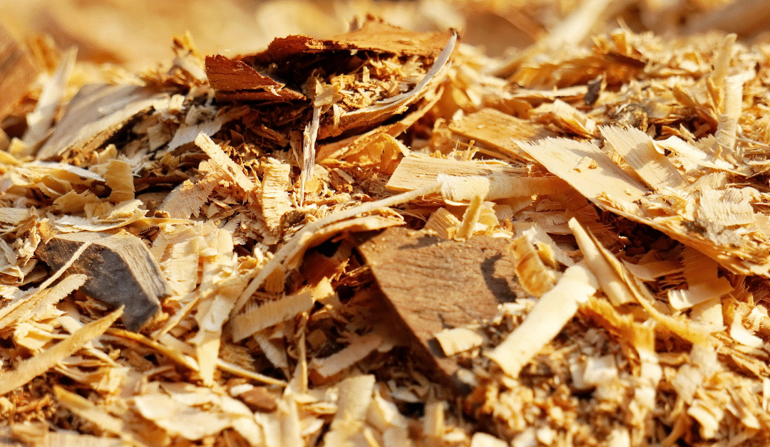 The Importance of Proper Wood Waste Disposal in India’s Furniture Industry