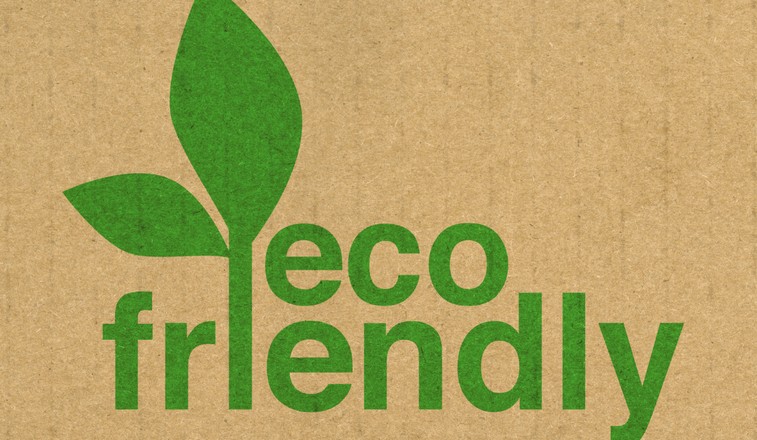 Scientific vs Eco-Friendly Waste Management: Finding the Right Balance